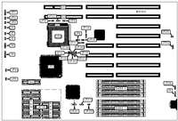 DIAMOND FLOWER, INC.   486-CCV (REV. A)