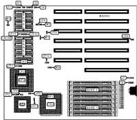 DIAMOND FLOWER, INC.   3486-UCF REV. C