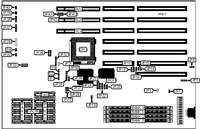 DIAMOND FLOWER, INC.   G486-EVB (REV. B)