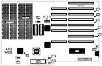 EVEREX SYSTEMS, INC.   STEP 286
