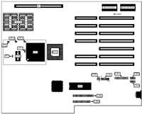 EVEREX SYSTEMS, INC.   STEP 486SX20 (EV-18116)